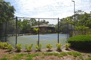 605 Lennox Rd W, Palm Harbor, FL 34683 - Photo 36