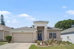 11102 Silver Dancer Dr, Riverview, FL 33579 - Photo 2
