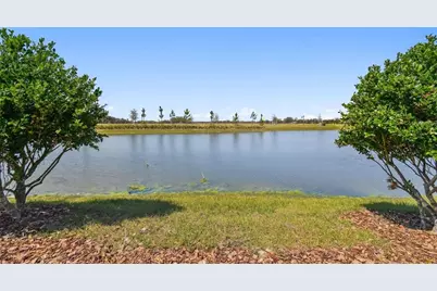 6741 Michael Favor Way, Wesley Chapel, FL 33545 - Photo 6