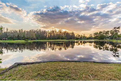 5473 Blue Heron Lane, Wesley Chapel, FL 33543 - Photo 50