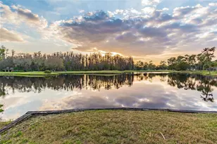 5473 Blue Heron Ln, Wesley Chapel, FL 33543 - Photo 50