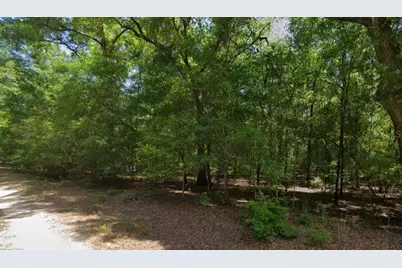 Ne Willow Bend Terrace, Lee, FL 32059 - Photo 2