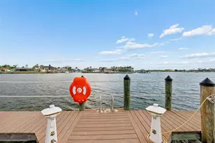 1038 Bellasol Way, Apollo Beach, FL 33572 - Photo 66