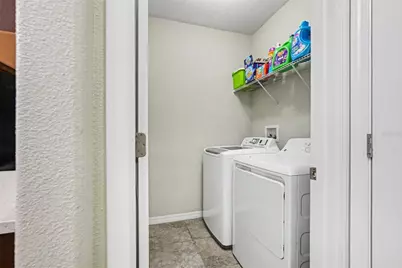 10022 Carloway Hills Drive, Wimauma, FL 33598 - Photo 22