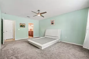 10022 Carloway Hills Dr, Wimauma, FL 33598 - Photo 16