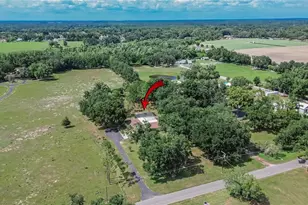 3708 Joe Sanchez Rd, Plant City, FL 33565 - Photo 100
