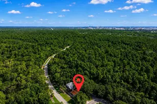 5204 Green Forest Ct, Tampa, FL 33647 - Photo 40