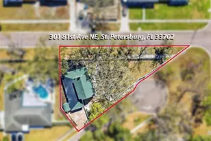 301 81st Ave NE, Saint Petersburg, FL 33702 - Photo 42