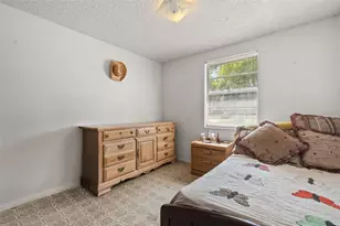 12631 Hobson Simmons Rd, Lithia, FL 33547 - Photo 8