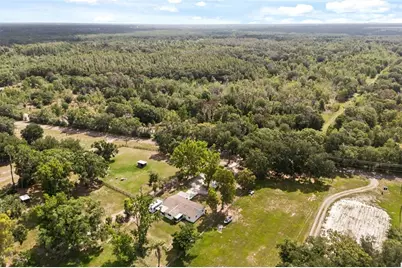 12631 Hobson Simmons Road, Lithia, FL 33547 - Photo 16