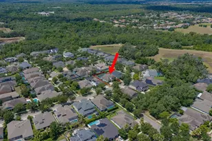 15424 Starling Crossing Dr, Lithia, FL 33547 - Photo 50