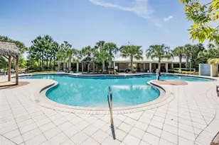 11882 Frost Aster Dr, Riverview, FL 33579 - Photo 56
