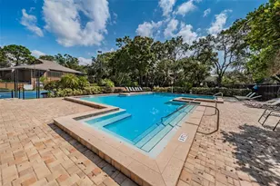 2205 Lennox Rd E, Palm Harbor, FL 34683 - Photo 60