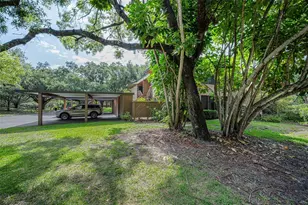 2205 Lennox Rd E, Palm Harbor, FL 34683 - Photo 40