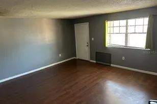 12406 Hibiscus Oak Pl, Tampa, FL 33612 - Photo 4
