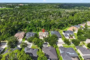 5112 Abisher Wood Ln, Brandon, FL 33511 - Photo 46
