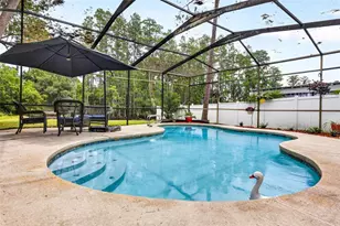 910 Hillside Dr, Lutz, FL 33549 - Photo 4