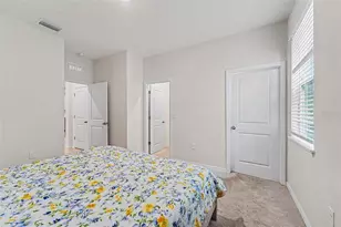 3221 Living Coral Dr, Odessa, FL 33556 - Photo 28