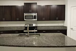 9910 Spanish Lime Ct, Riverview, FL 33578 - Photo 10