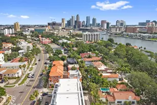 905 Villa Venicia Way, Tampa, FL 33606 - Photo 52