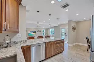 302 S Mayo St, Crystal Beach, FL 34681 - Photo 20