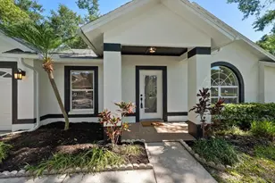 5423 Windbrush Dr, Tampa, FL 33625 - Photo 28