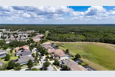 5805 Watercolor Drive, Lithia, FL 33547 - Photo 56