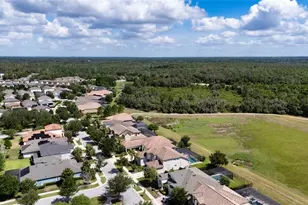 5805 Watercolor Dr, Lithia, FL 33547 - Photo 56