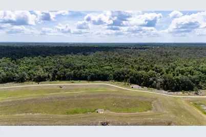 5805 Watercolor Drive, Lithia, FL 33547 - Photo 60