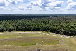 5805 Watercolor Dr, Lithia, FL 33547 - Photo 60