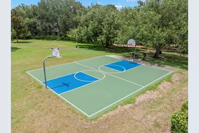 2332 Waterview Court, Palm Harbor, FL 34684 - Photo 50
