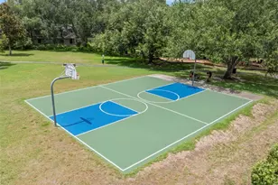 2332 Waterview Ct, Palm Harbor, FL 34684 - Photo 50