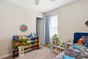 34149 Scarlet Sage Ct, Wesley Chapel, FL 33545 - Photo 44