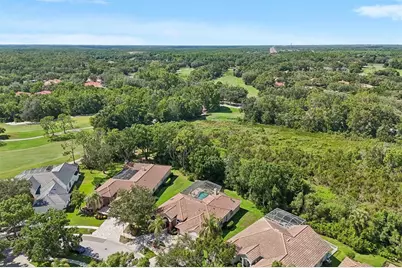 17722 Grey Eagle Road, Tampa, FL 33647 - Photo 44