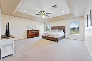3505 Tarbolton, Land O Lakes, FL 34638 - Photo 20