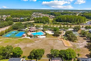 3505 Tarbolton, Land O Lakes, FL 34638 - Photo 50