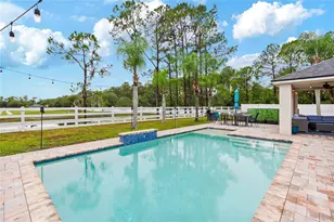 20744 Orchardtown Dr, Land O Lakes, FL 34638 - Photo 4