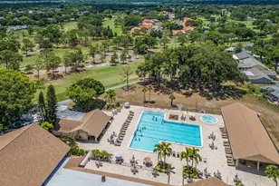 1009 Queen Anne Dr, Palm Harbor, FL 34684 - Photo 26