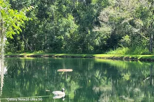 12742 Wood Trail Blvd Blvd, Tampa, FL 33625 - Photo 2