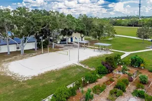6411 Coquina Island Cove, Apollo Beach, FL 33572 - Photo 78