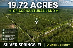 NE 90th Street Rd, Fort Mc Coy, FL 32134 - Photo 1
