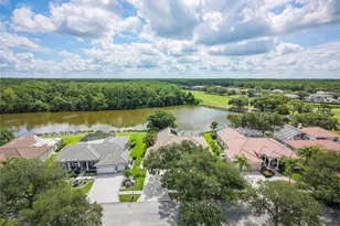 2055 Diamond Ct, Oldsmar, FL 34677 - Photo 54