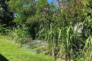 3834 Charter Rd, Lakeland, FL 33810 - Photo 50