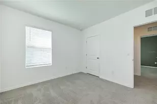 33405 Darley Dl Trl, Wesley Chapel, FL 33545 - Photo 50