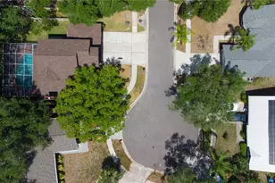 1564 Colony Ct, Palm Harbor, FL 34683 - Photo 32