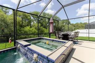 1839 Pink Guara Ct, Trinity, FL 34655 - Photo 56