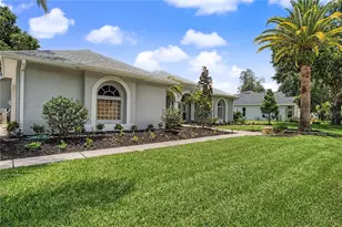 3692 Johnathon Ave, Palm Harbor, FL 34685 - Photo 64