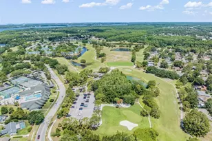 3692 Johnathon Ave, Palm Harbor, FL 34685 - Photo 94