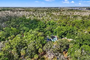 4586 S Flambeau Loop, Homosassa, FL 34448 - Photo 68