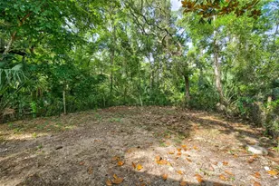 4586 S Flambeau Loop, Homosassa, FL 34448 - Photo 54